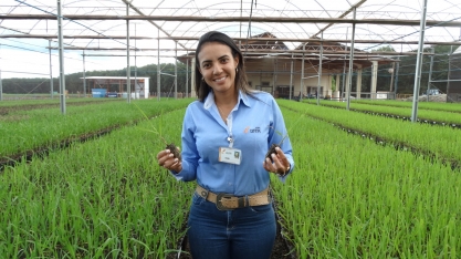 Vivian Cunha, coord. de planej. e desen. Agrícola da Coruripe, no VIII Encontro Cana Substantivo Feminino