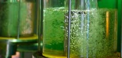 Preço do etanol caiu em 16 Estados na primeira semana do ano, diz ANP