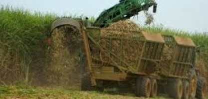 Produção mineira de etanol cresce 22%