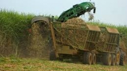 Produção mineira de etanol cresce 22%