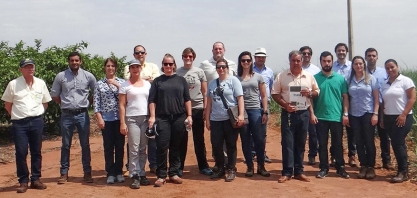 Cana certificada não deve ser apenas admirada, mas melhor remunerada