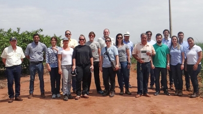 Cana certificada não deve ser apenas admirada, mas melhor remunerada