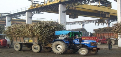 Açúcar: produção da Índia em 2018/19 atinge 11 mi de t até 31 de dezembro, alta de 6,72%