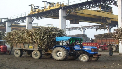 Açúcar: produção da Índia em 2018/19 atinge 11 mi de t até 31 de dezembro, alta de 6,72%