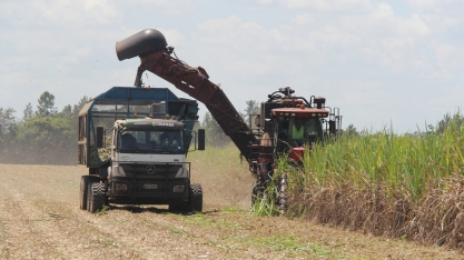 Inédito: test-drive com caminhão com direção autônoma no VIII Encontro Cana Substantivo Feminino