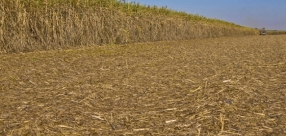 Com safra praticamente encerrada, centro-sul segue com venda de hidratado aquecida na 2ª quinzena de dezembro