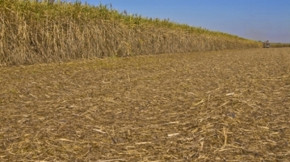 Com safra praticamente encerrada, centro-sul segue com venda de hidratado aquecida na 2ª quinzena de dezembro