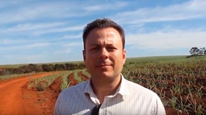 USINA SÃO LUIZ TESTA NOVO HERBICIDA EM ÁREA DE MPB E TEM GRATA SURPRESA