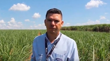 USINA FERRARI APOSTA NO WUXAL ATRIUN PARA TURBINAR SUA PRODUTIVIDADE