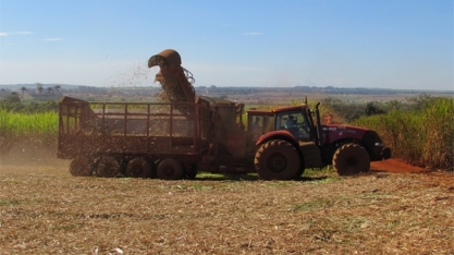 Valor da Produção Agropecuária de 2019 deverá superar o deste ano