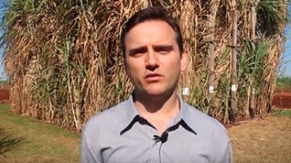 Ganhos com adubação foliar podem chegar a 8 TCH