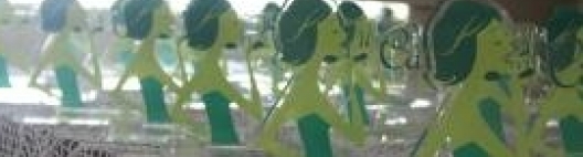 Abertas inscrições do  VIII Encontro Cana Substantivo Feminino