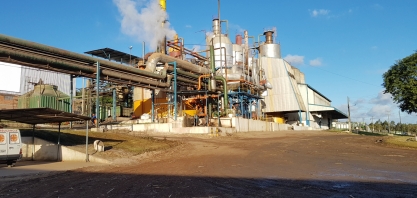 Usina Pindorama deve fazer safra mais alcooleira de sua história