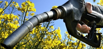 Biocombustíveis ganham destaque na matriz energética brasileira, diz AIE