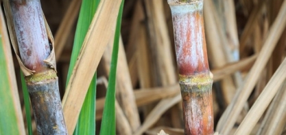 ATR SP: valor acumulado sobe 0,13% em janeiro