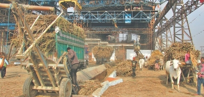 Brasil e Austrália devem abrir consulta na OMC por subsídio a açúcar na Índia, diz fonte