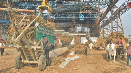 Brasil e Austrália devem abrir consulta na OMC por subsídio a açúcar na Índia, diz fonte