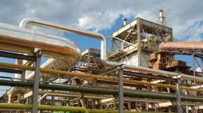 EBITDA ajustado da Biosev atinge R$ 1,2 bilhão no 9M19, com aumento de 2,5 p.p. na margem EBITDA