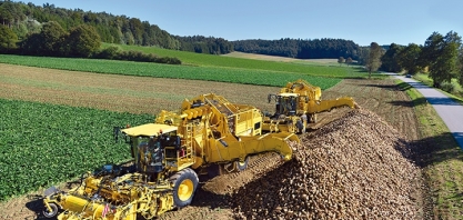 Dificuldades do setor açucareiro da UE indicam baixa exportação