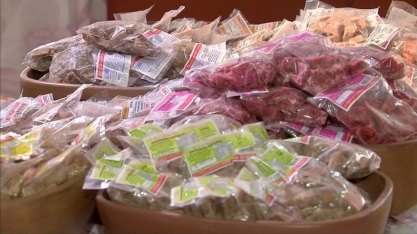 Engenhos de cana de açúcar são opção de lazer em Pindoretama