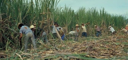 Recuperar o agronegócio da Venezuela exigiria US$ 3 bi anuais