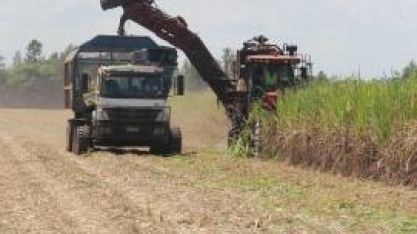 Inédito: test-drive com caminhão com direção autônoma no VIII Encontro Cana Substantivo Feminino