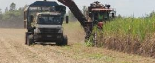 Inédito: test-drive com caminhão com direção autônoma no VIII Encontro Cana Substantivo Feminino