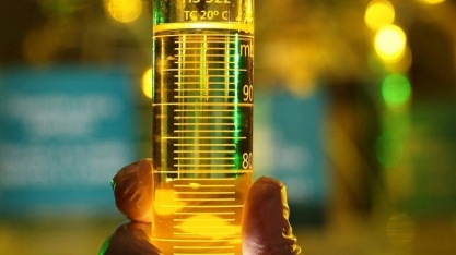 ECB construirá planta de combustíveis renováveis de segunda geração