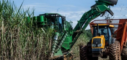 Líder da Feplana presidirá Câmara Setorial do Açúcar e do Álcool do Mapa