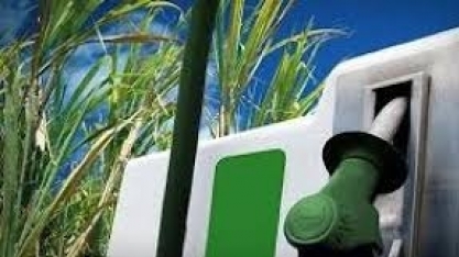 ANP: etanol recua em 15 estados e no DF, mas preço médio sobe 0,58% no país 