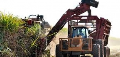 Banco MUFG busca grandes do agronegócio para crescer