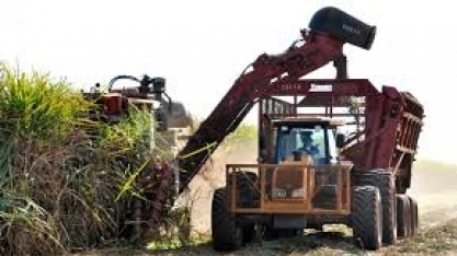Banco MUFG busca grandes do agronegócio para crescer