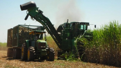 Cana/Unica: centro-sul processa 280 mil t na 1ª quinzena de fevereiro (-51,47% ante 2017/18) 