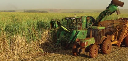 Um novo salto para o agronegócio em São Paulo 