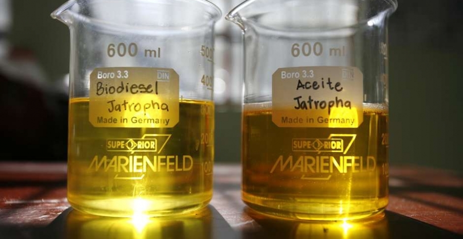 Amostras de combustíveis renováveis 05/03/2009 REUTERS/Daniel LeClair. Foto: Reuters