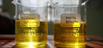 Grupo brasileiro alinha investimento de mais de US$800 mi em diesel renovável no Paraguai