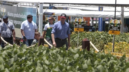 No 1º dia, Show Rural libera R$ 500 milhões de crédito a produtores