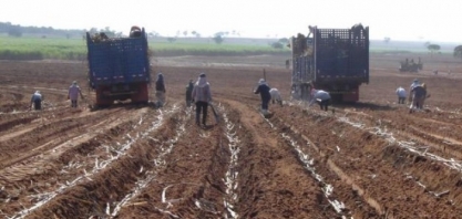 Movimento contribui para a geração de empregos