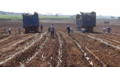 Movimento contribui para a geração de empregos