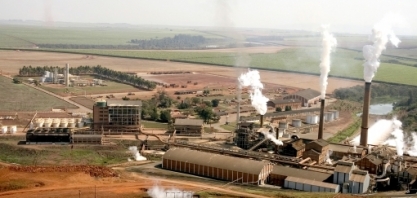 São Martinho avalia que clima afeta próxima safra de cana do centro-sul 