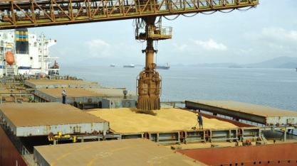 Agro em janeiro de 2019