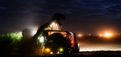 Oportunidades de emprego na Pedra Agroindustrial