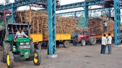 Brasil denuncia apoio da Índia ao açúcar na OMC