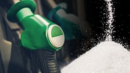 Açúcar recua nas bolsas internacionais; indicador diário do etanol segue em alta