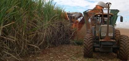 Começa a colheita da safra de verão em Uberaba