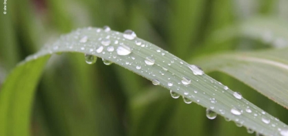 Programa de melhoria contínua chega a produtores da região de Capivari