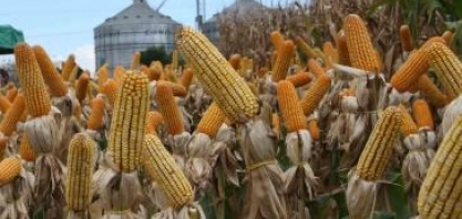 Presidente do BNDES defende o 'desmame' do subsídio público à agricultura