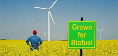 Análise avançada do mercado de biocombustíveis e taxa de crescimento impressionante até o período de previsão 2025