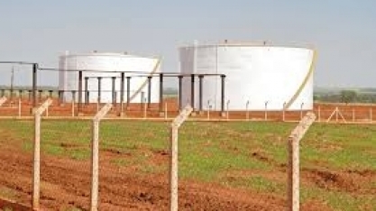 Etanol: hidratado sobe 6,36% e anidro avança 6,80% nas usinas 