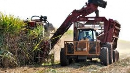 Moagem de cana do CS deve crescer 1% em 19/20, diz Safras